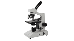 MICROSCOPIO BINOCULAR 62