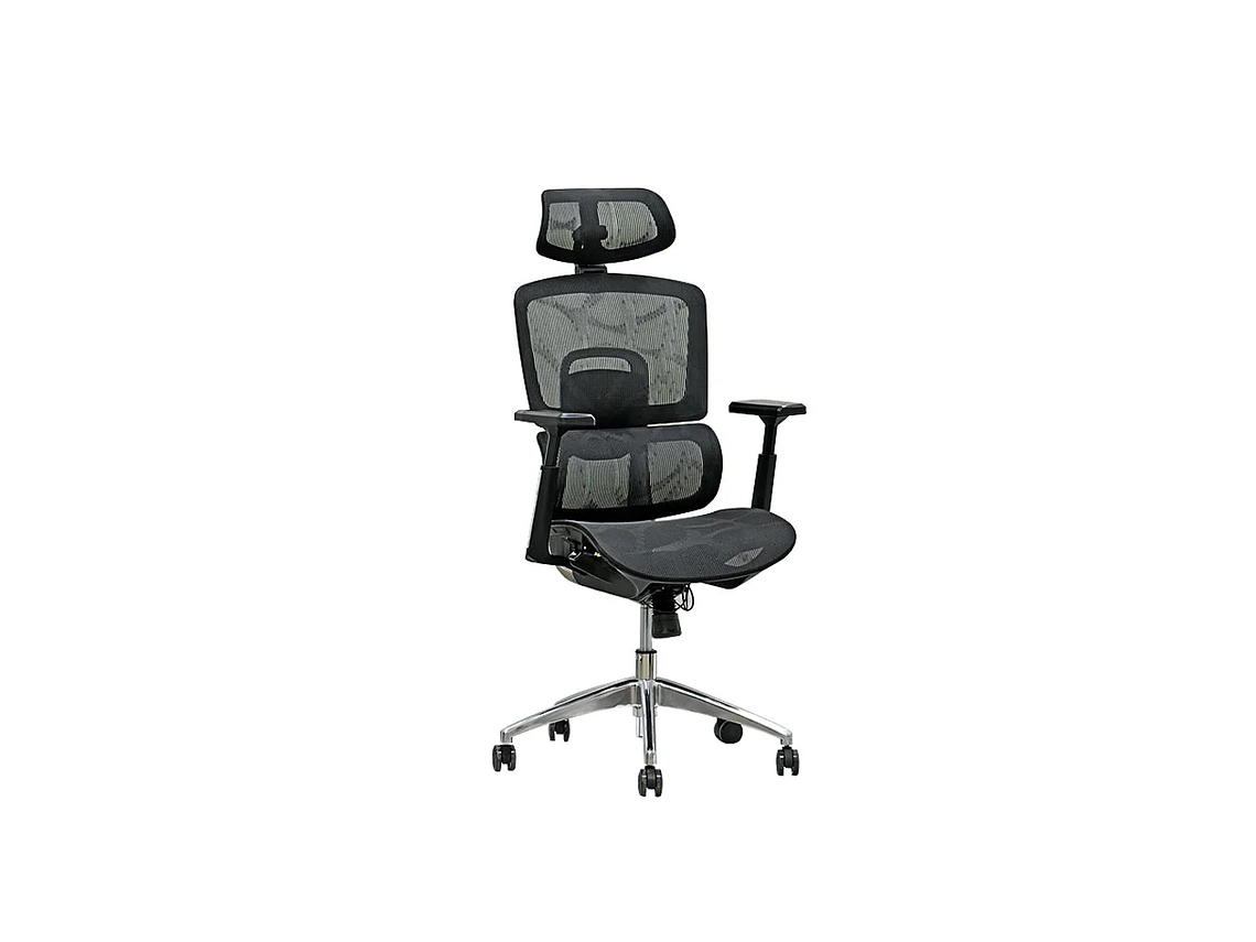 SILLÓN EJECUTIVO ERGOBACK ALUMINIO 1