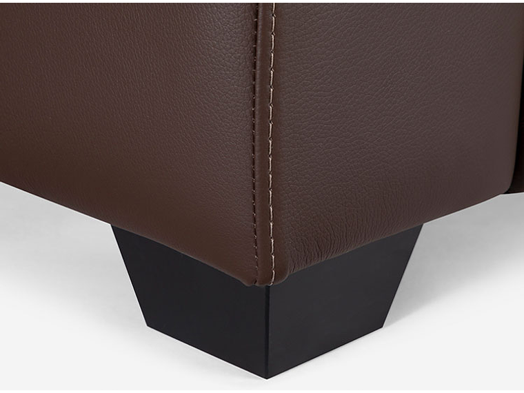 SOFÁ ROSEN MANET PIGMENTADO 2 CUERPOS CUERO 4