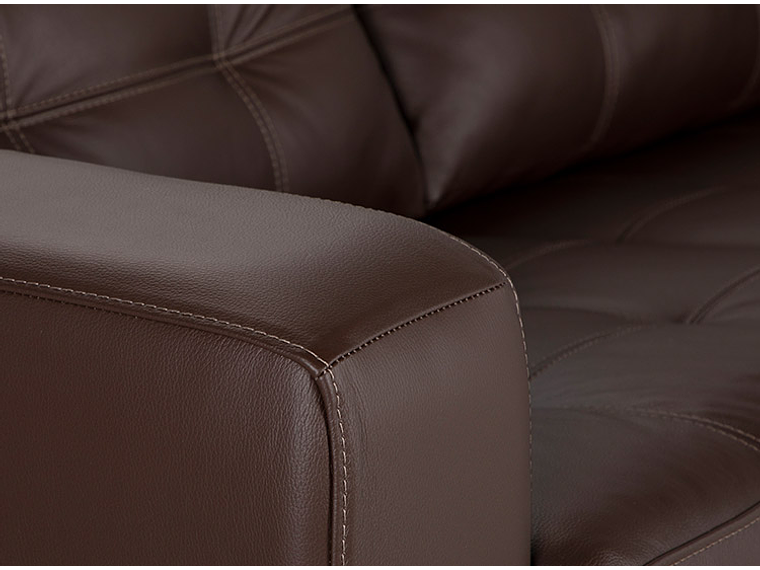 SOFÁ ROSEN MANET PIGMENTADO 2 CUERPOS CUERO 7