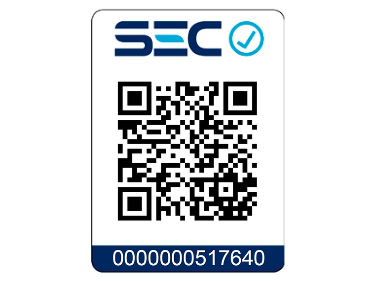 GENERADOR ELE CTRICO A GASOLINA FLOWMAK 800W 220V GH1000 2