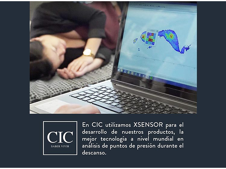 JUEGO DE DORMITORIO CIC CAMA EUROPEA SUPER PREMIUM KING + RESPALDO BAKER 10