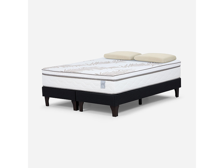 CAMA EUROPEA NEO PLUS KING 180X200 CM + ALMOHADAS ESENCIAL 2