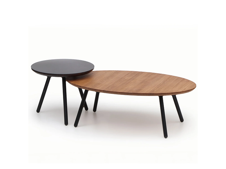 MESA CENTRO MEDULAR AULA NOGAL 1