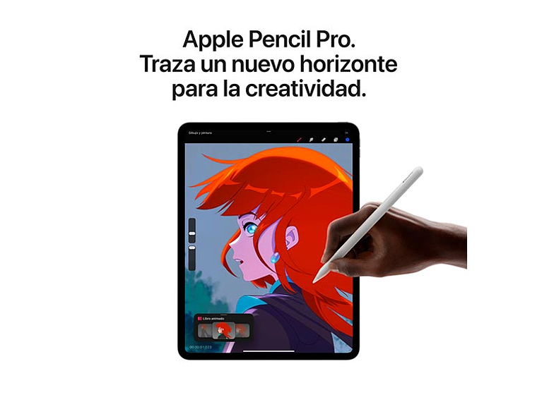 IPAD PRO 11