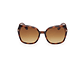LENTES DE SOL PLUM HAVANA DEGRADADOS TOM FORD - Miniatura 3