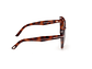LENTES DE SOL PLUM HAVANA DEGRADADOS TOM FORD - Miniatura 4