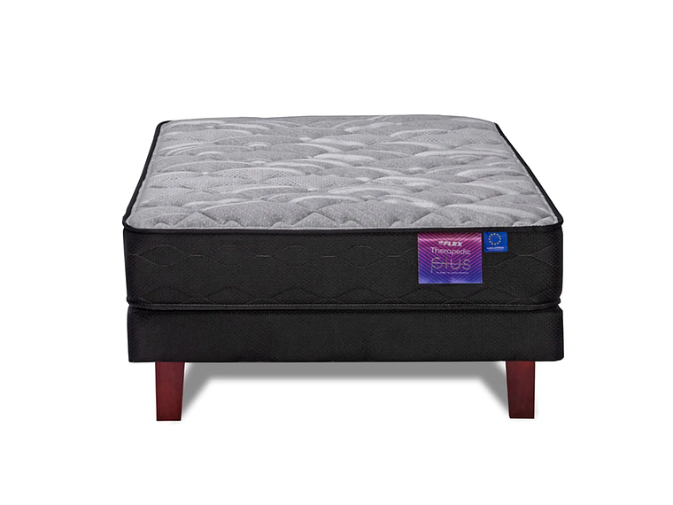 CAMA EUROPEA FLEX THERAPEDIC PLUS BOX 1.5 PLAZAS 2