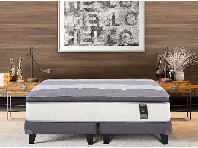 CAMA EUROPEA FLEX TITANIUM NEW BOX SÚPER KING 5