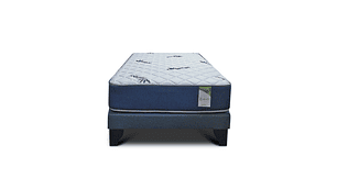 CAMA EUROPEA KIROPRACTIC 1 PLAZA BOX