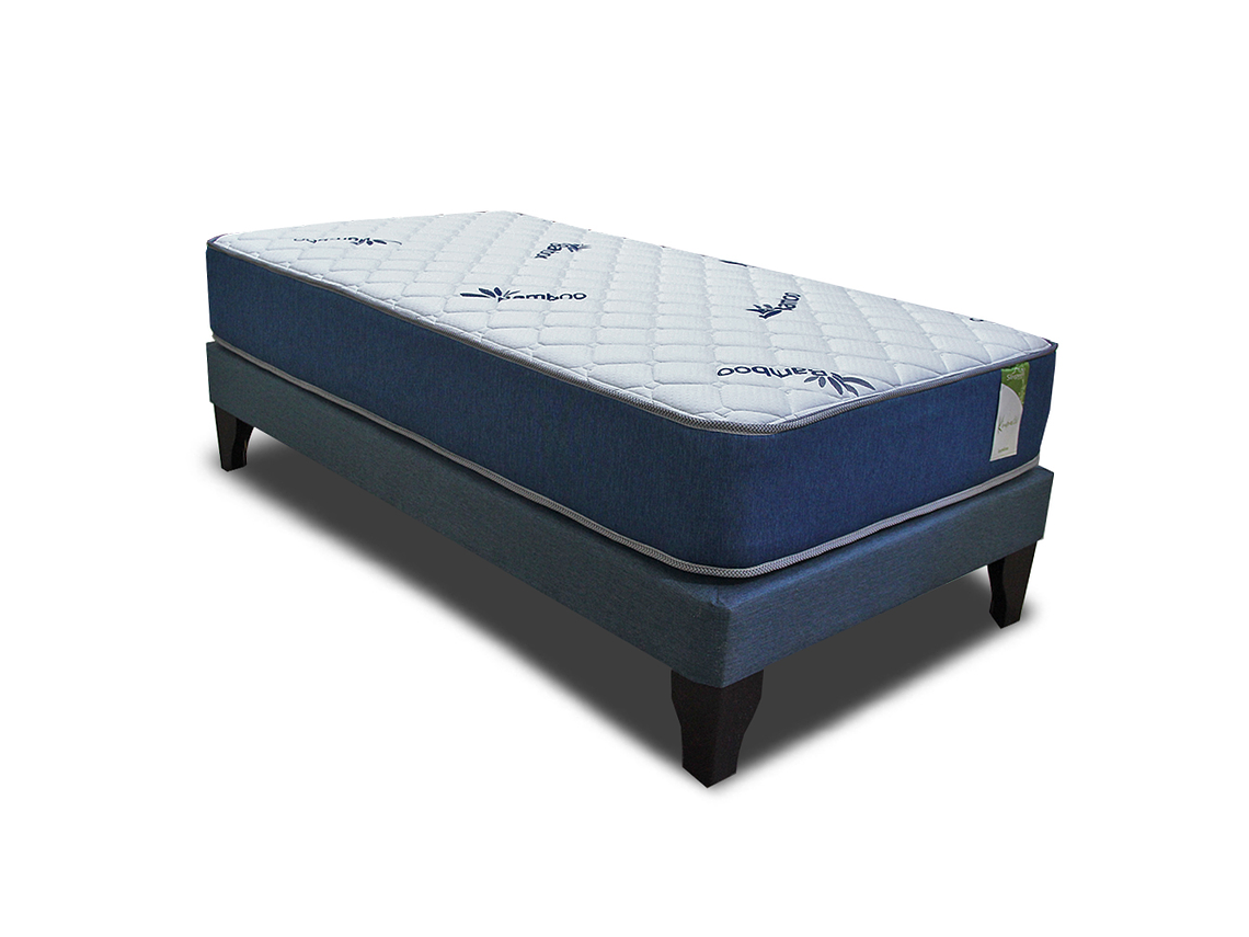 CAMA EUROPEA KIROPRACTIC 1 PLAZA BOX 2