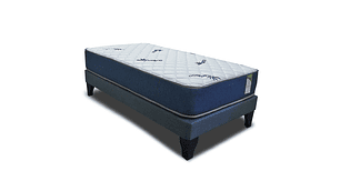 CAMA EUROPEA KIROPRACTIC 1 PLAZA BOX
