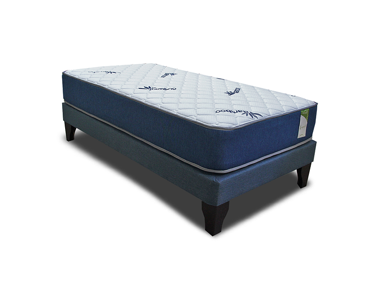 CAMA EUROPEA KIROPRACTIC 1 PLAZA BOX 2
