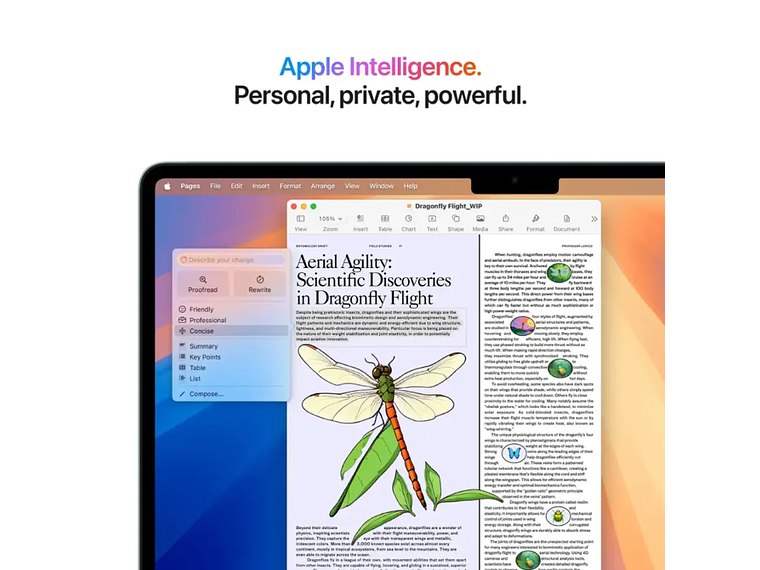 APPLE MACBOOK AIR 13,6' M4 CHIP 16GB 256GB SSD AZUL 8