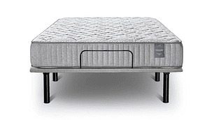 CAMA ELÉCTRICA CANON ACCESS VISCO 2PL