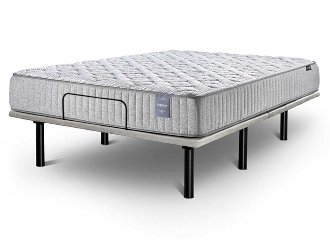 CAMA ELÉCTRICA CANON ACCESS VISCO 2PL 2