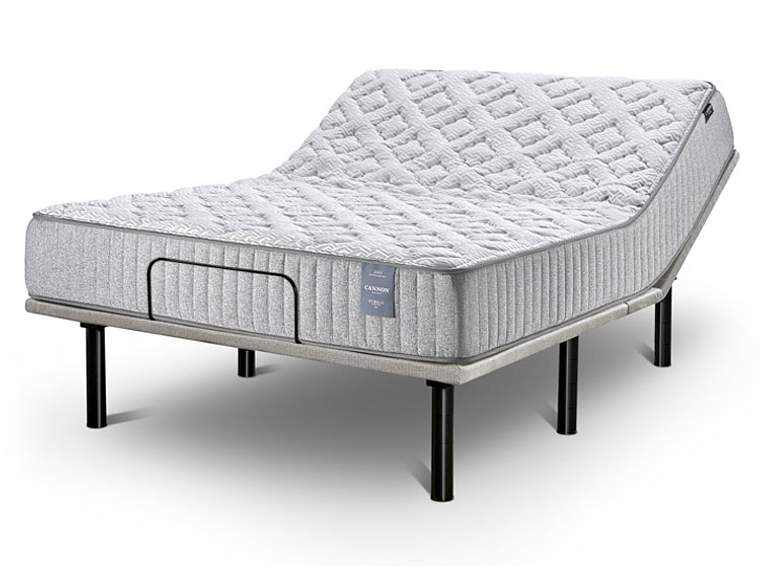 CAMA ELÉCTRICA CANON ACCESS VISCO 2PL 5