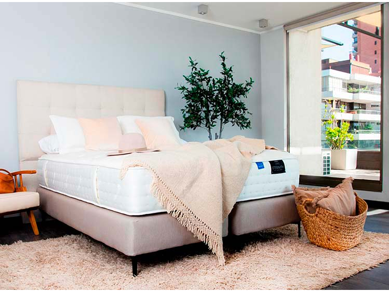 CAMA EUROPEA FLEX ETERNITY TOP KING ARENA 6