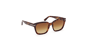 LENTES DE SOL HAYLAY HAVANA DEGRADADOS TOM FORD