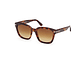 LENTES DE SOL HAYLAY HAVANA DEGRADADOS TOM FORD - Miniatura 7