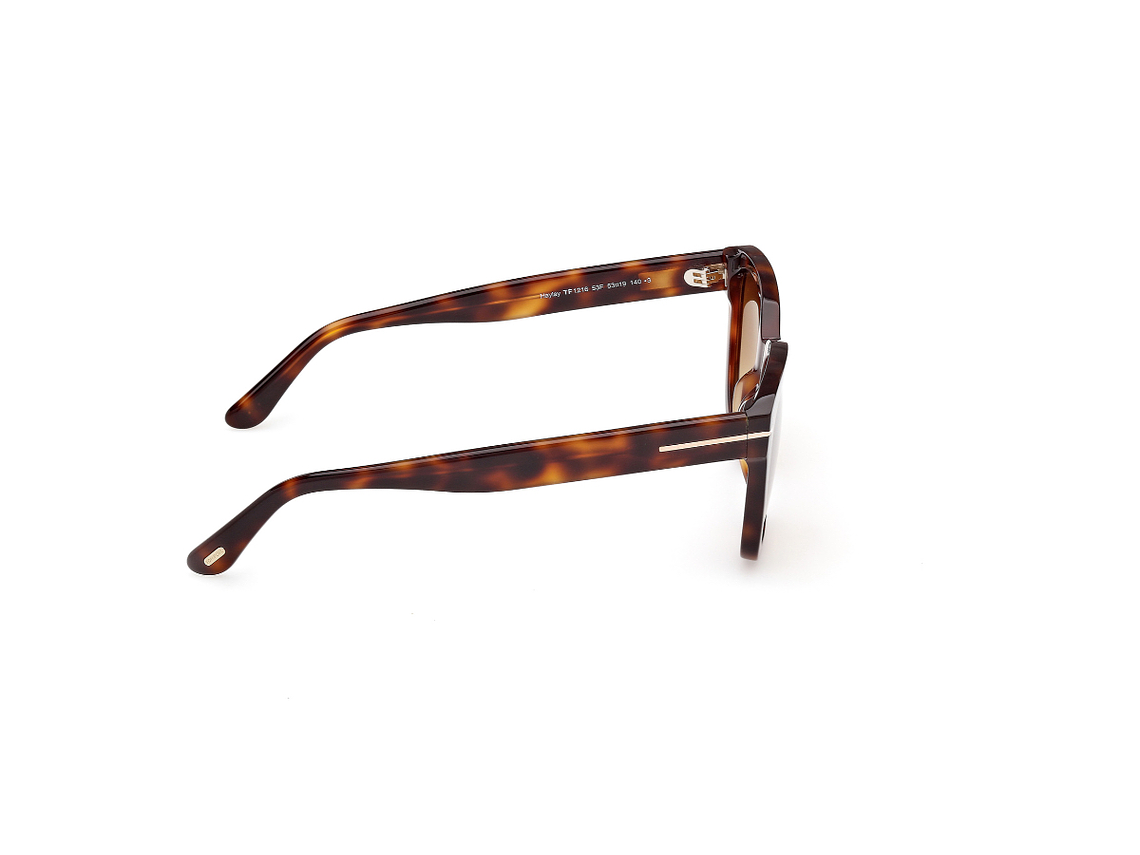 LENTES DE SOL HAYLAY HAVANA DEGRADADOS TOM FORD 8