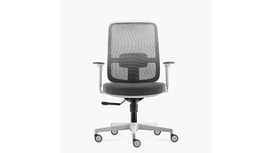 SILLA OFICINA LOTTO GRIS CLARO FORM