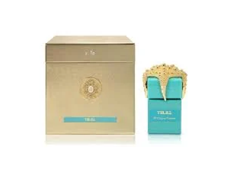 PERFUME TIZIANA TERENZI ABBRIVIO EXTRAIT PARFUM 100 ML 2