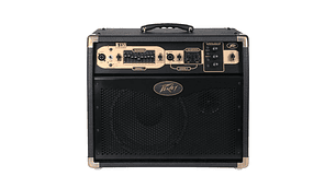 AMPLIFICADOR DE GUITARRA PEAVEY ECOUSTIC E 110