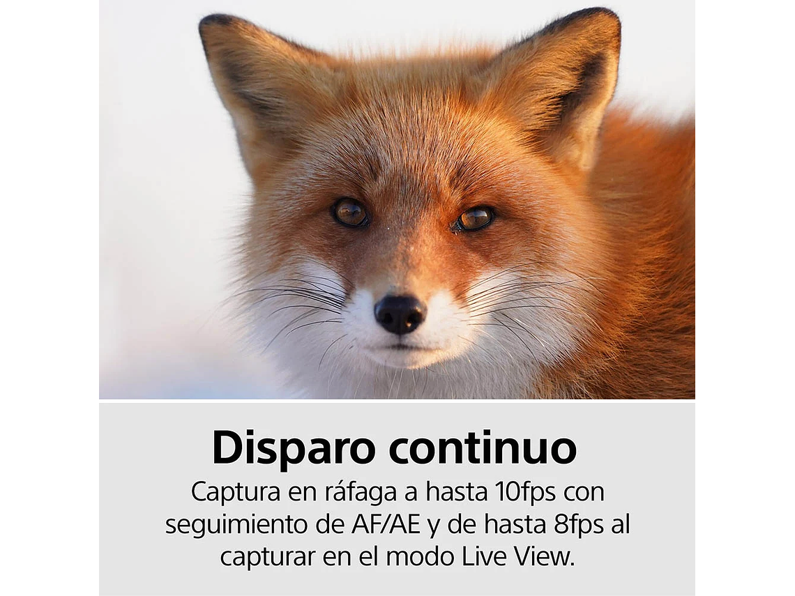 CÁMARA MIRRORLESS FULL-FRAME ILCE-7M3K 5