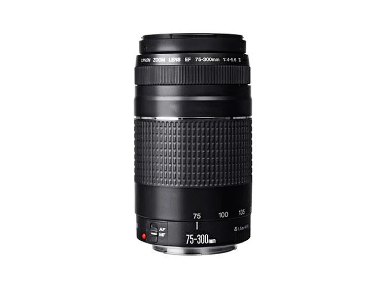 CANON EOS REBEL T100 PREMIUM KIT 4