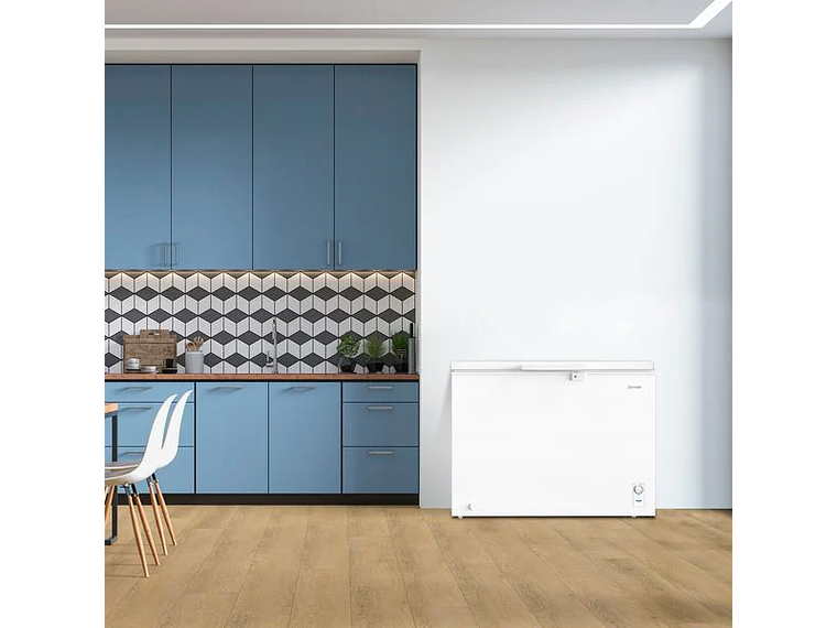 CONGELADOR FREEZER FENSA HORIZONTAL 290L FRÍO DIRECTO Z300D 4