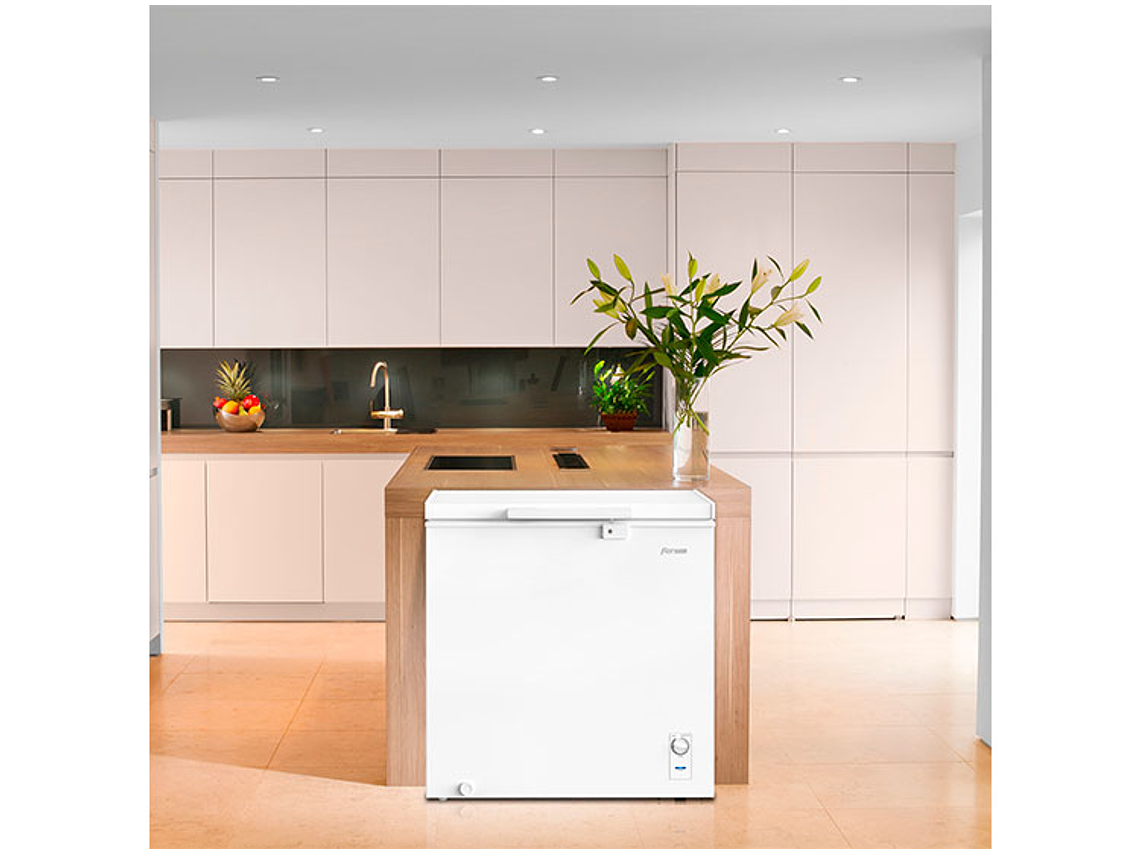 FREEZER HORIZONTAL FENSA 198 L DUAL Z200D 6