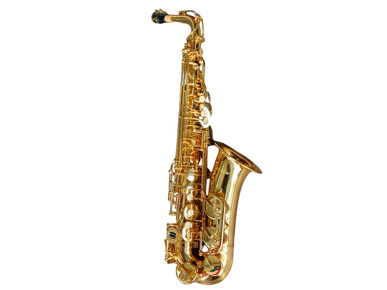 SAXOFÓN ALTO ESTUDIANTE HAS100 HOFFER 1