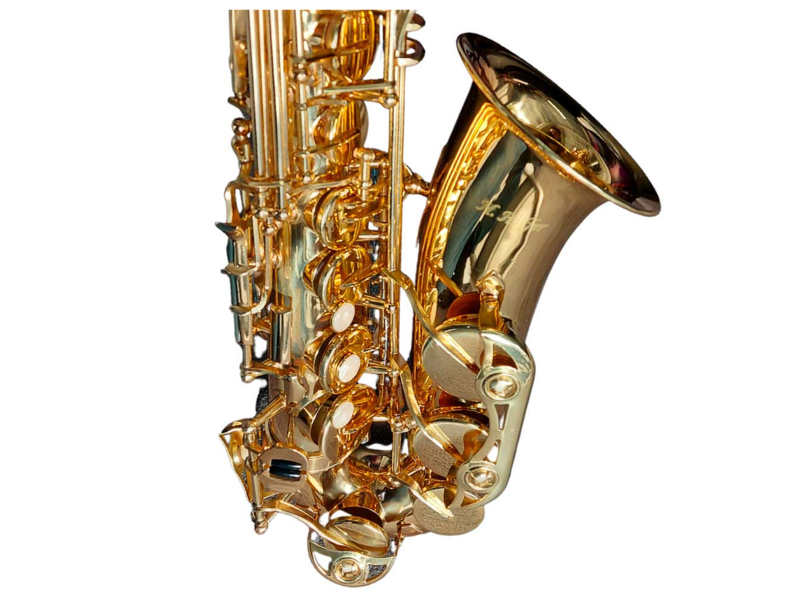 SAXOFÓN ALTO ESTUDIANTE HAS100 HOFFER 2