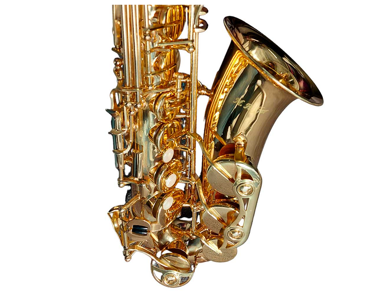 SAXOFÓN ALTO ESTUDIANTE HAS100 HOFFER 2