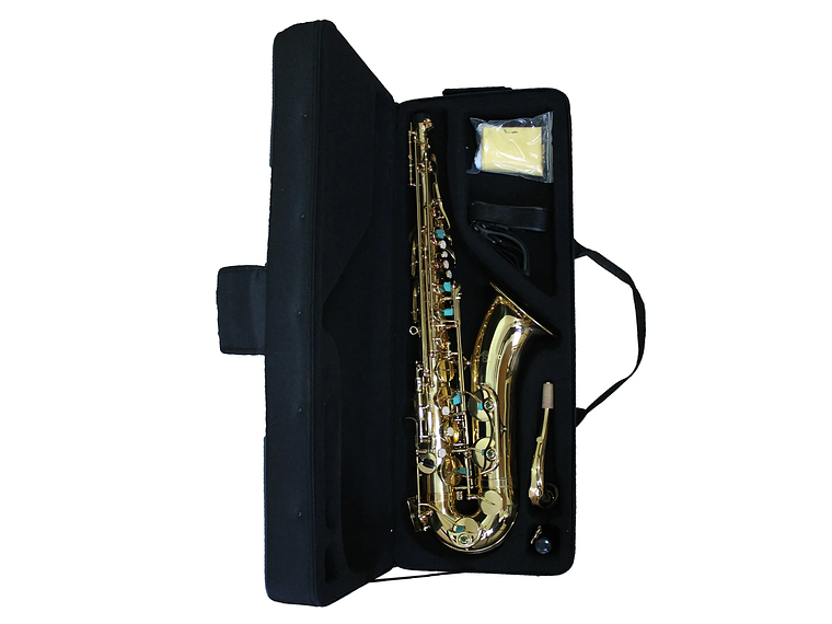 SAXOFÓN TENOR ALLEGRO DORADO ALL6435L 2