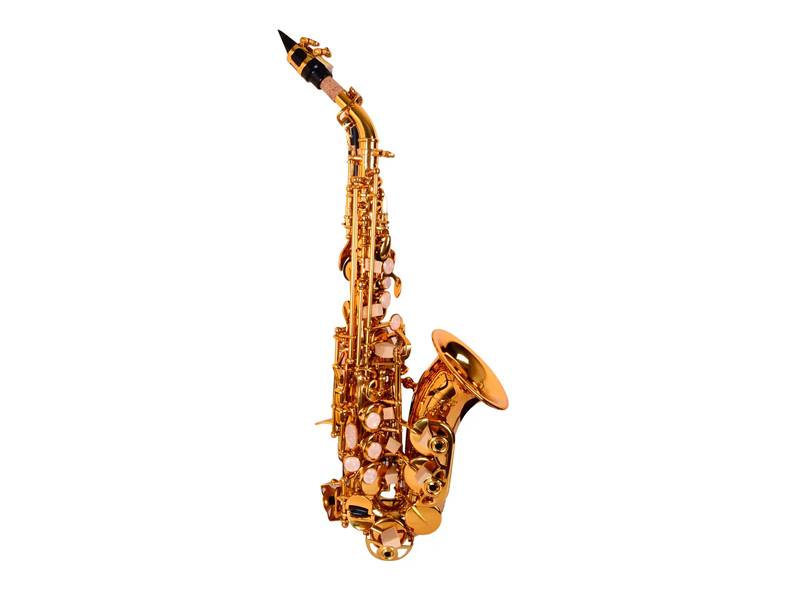 SAXO ETINGER SOPRANINO MODSS-40 1