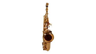 SAXO ETINGER SOPRANINO MODSS-40