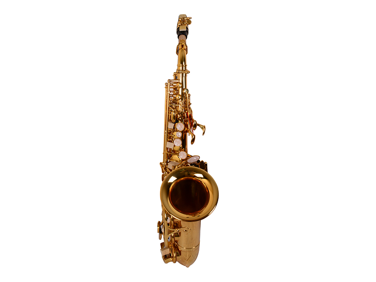 SAXO ETINGER SOPRANINO MODSS-40 2