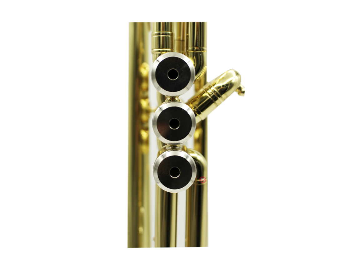 TROMPETA  EN DORADA CON ESTUCHE PS SI BEMOL 5