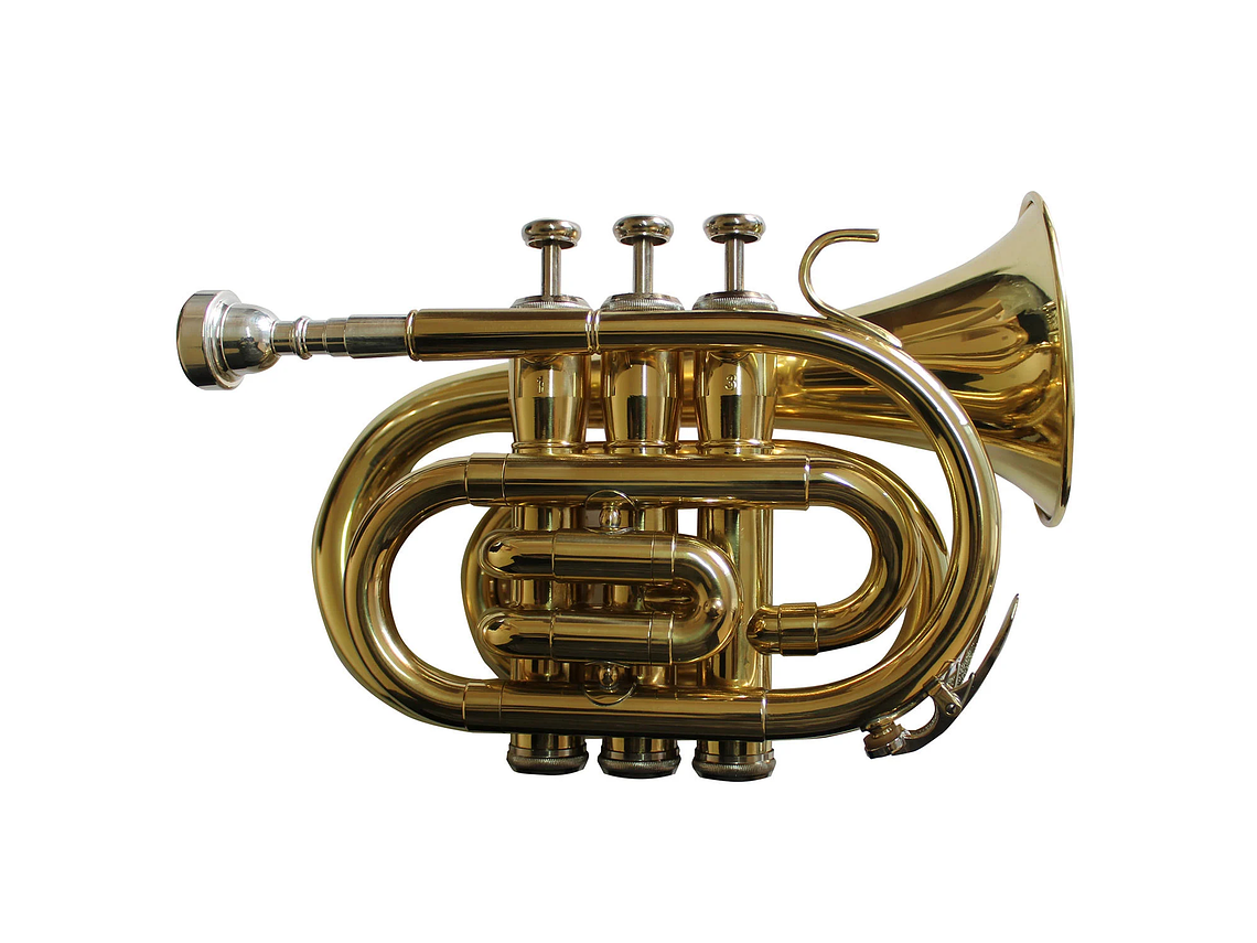 TROMPETA ALLEGRO POCKET BB DORADA ALL6417L 1