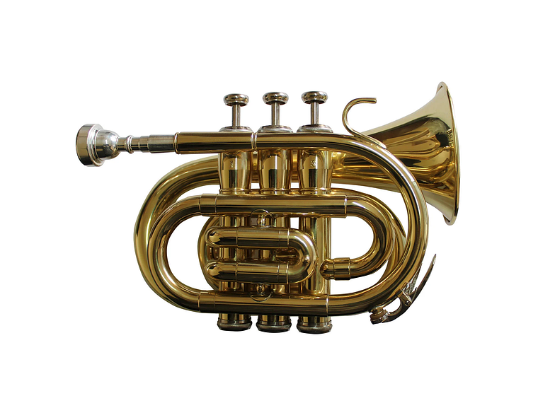 TROMPETA ALLEGRO POCKET BB DORADA ALL6417L 1