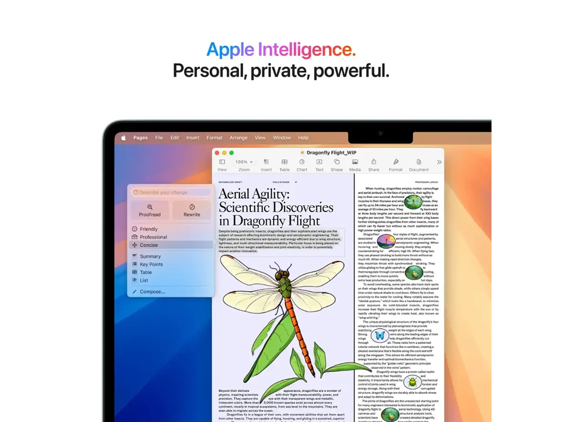 APPLE MACBOOK AIR 13,6' M4 CHIP 16GB 256GB SSD AZUL 8