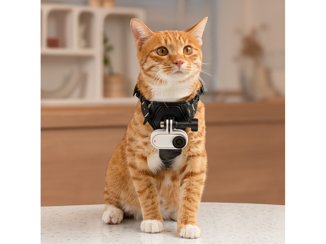 CÁMARA INSTA360 GO 3S 64GB - BLANCA 8