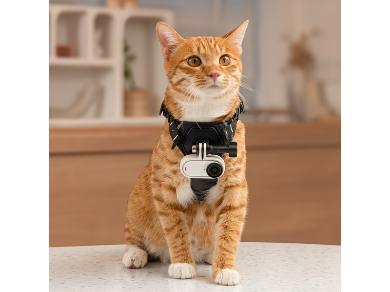 CÁMARA INSTA360 GO 3S 64GB - BLANCA 8