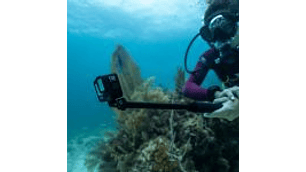 KIT GOPRO HERO 13 BLAC SPECIALITY BUNDLE+ MEMORIA 64 GB