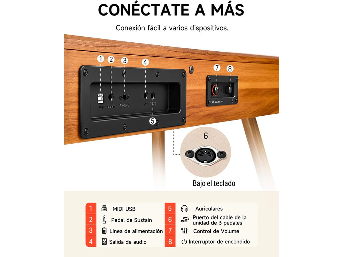 PIANO DIGITAL DONNER DDP80, 88 TECLAS, MADE IN MÉXICO 2