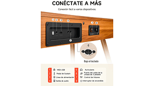 PIANO DIGITAL DONNER DDP80, 88 TECLAS, MADE IN MÉXICO