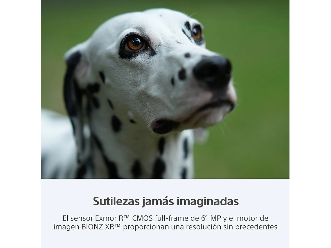 CAMARA HIGH RES FULL FRAME ILCE-7RM5 8