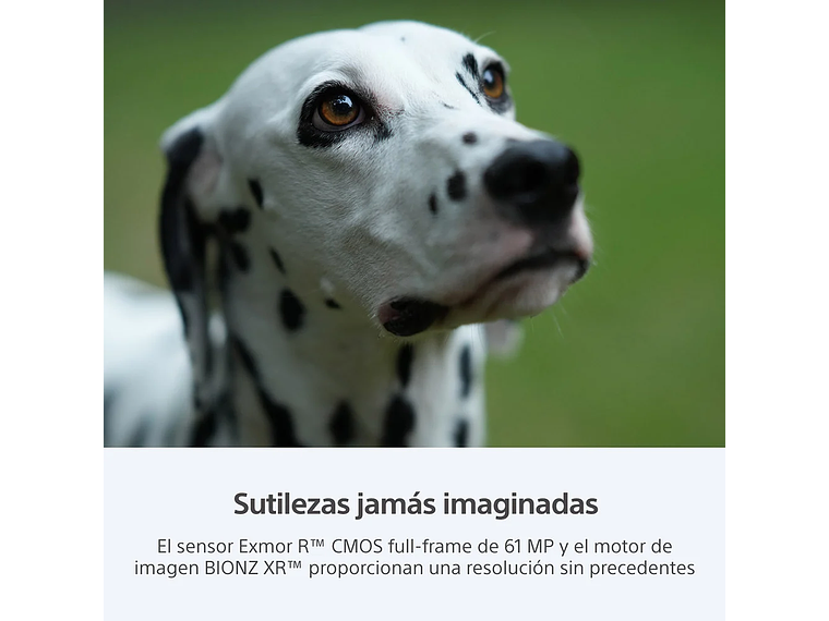 CAMARA HIGH RES FULL FRAME ILCE-7RM5 8